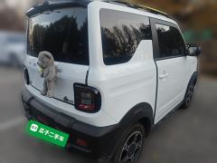 Geely Galaxy Panda 210km Panda Knight - ფოტო 6