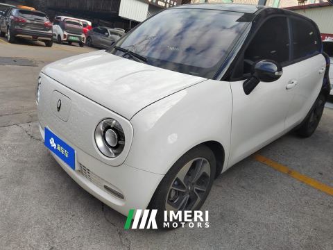 2022 Ora Black Cat 351km Comfort Ternary Lithium - ავტომობილი ჩინეთიდან