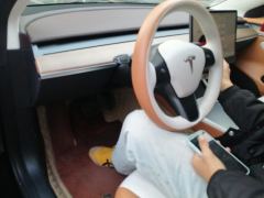 Tesla Model 3 556km Rear-Wheel Drive Edition - photo 16