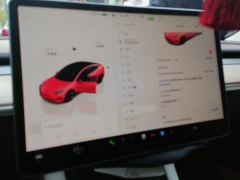 Tesla Model 3 556km Rear-Wheel Drive Edition - photo 20