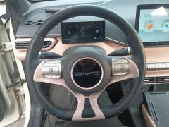 BYD Seagull 305km Free Version - ფოტო 18