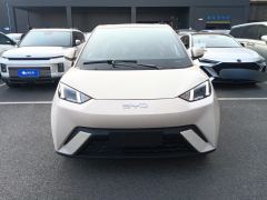 BYD Seagull 305km Free Version - ფოტო 3
