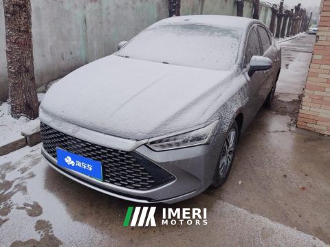 2023 BYD Qin PLUS DM-i Champion Edition 1.5L 120km Elite Edition