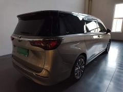 Buick GL8 ES LuZun Flagship - фото 6
