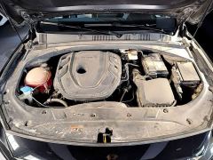 Geely Xingrui 2.0T Diesel Premium - ფოტო 19