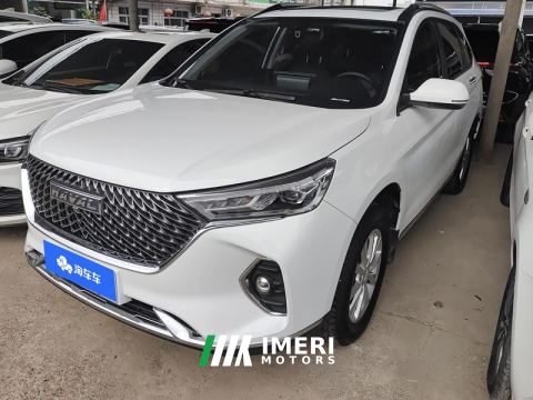 2021 Haval M6 PLUS 1.5T Manual Smart Enjoyment Edition - автомобиль из Китая