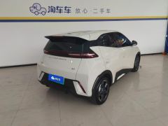 BYD Seagull 305km Free Version - ფოტო 2