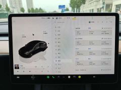 Tesla Model 3 Rear-Wheel Drive - ფოტო 10