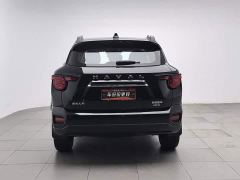 Haval Big Dog PLUS 2.0T AWD Trendy Wilderness Plus - photo 4