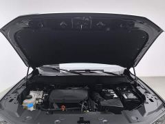 Haval Big Dog PLUS 2.0T AWD Trendy Wilderness Plus - photo 6