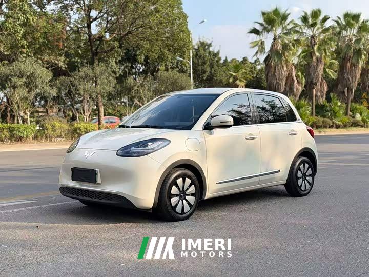 Wuling Binguo 333km Joy Edition