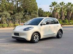 Wuling Binguo 333km Joy Edition - ფოტო 1
