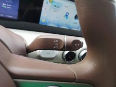 Wuling Binguo 333km Joy Edition - ფოტო 13