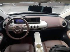 Wuling Binguo 333km Joy Edition - ფოტო 9