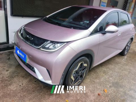 2021 BYD Dolphin 405km Free Version - автомобиль из Китая