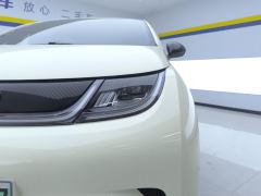 BYD Dolphin 420km Free Version - ფოტო 4