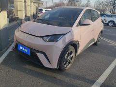 BYD Seagull Honor Edition 305km Free Version - ფოტო 1
