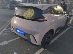 BYD Seagull Honor Edition 305km Free Version - ფოტო 2