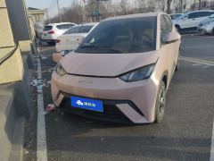 BYD Seagull Honor Edition 305km Free Version - ფოტო 3