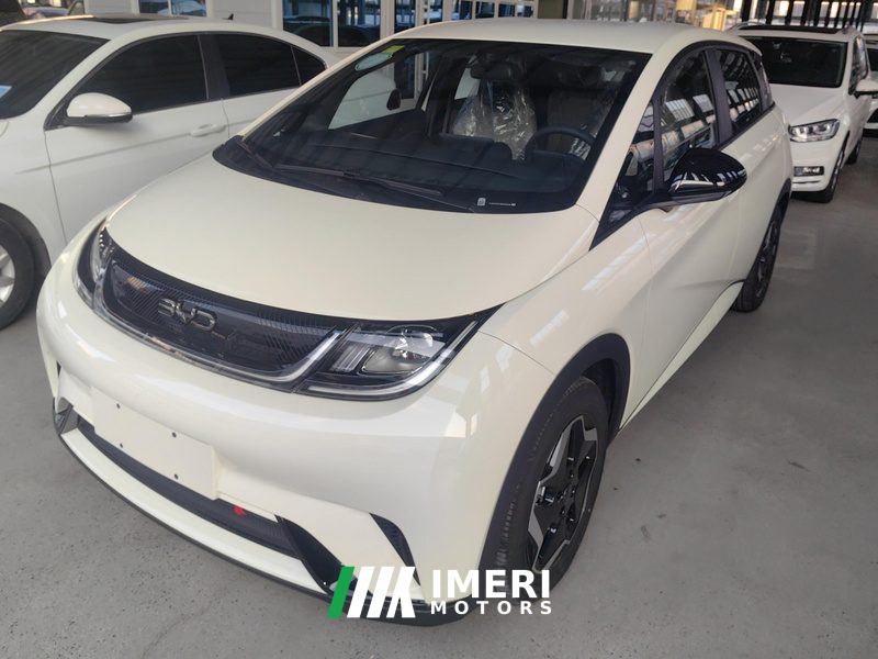 BYD Dolphin 420km Vitality Edition - автомобиль из Китая