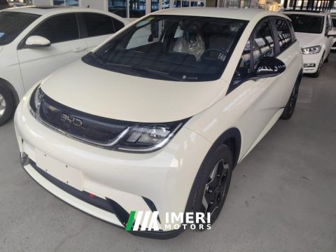 2025 BYD Dolphin 420km Vitality Edition