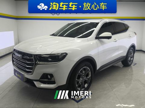 2021 Haval H6 Guochao Edition 1.5T 2WD Champion Edition