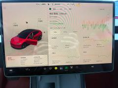 Tesla Model 3 Rear-Wheel Drive - ფოტო 11