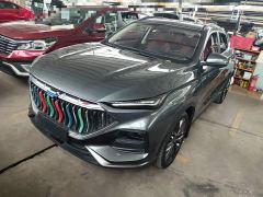 Changan Oushan X5 1.5T DCT Premier - ფოტო 1