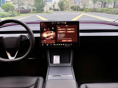 Tesla Model 3 Rear-Wheel Drive - ფოტო 8