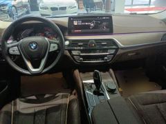 BMW 5 Series 530Li Leading Luxury Package - ფოტო 16