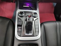 Tank 300 Off-Road Edition 2.0T Conqueror - ფოტო 19