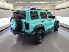 Tank 300 Off-Road Edition 2.0T Conqueror - ფოტო 2