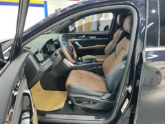 BYD Tang DM-i 1.5T 112KM Precursor Premium - photo 14