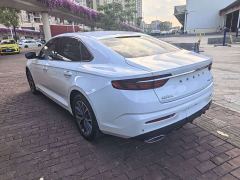 Geely Xingrui 2.0T Diesel Luxury - ფოტო 11