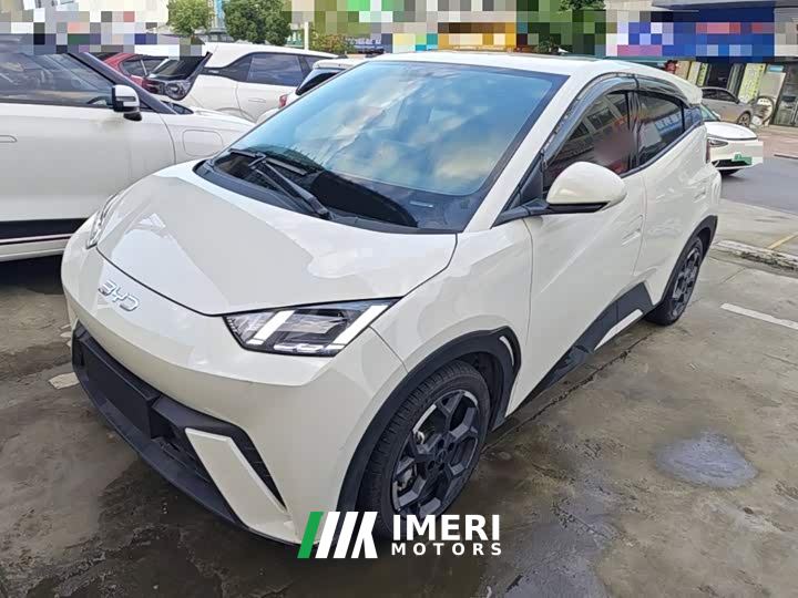 BYD Seagull Glory Edition 405km Flying Edition