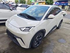 BYD Seagull Glory Edition 405km Flying Edition - ფოტო 1