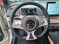 BYD Seagull Glory Edition 405km Flying Edition - ფოტო 10
