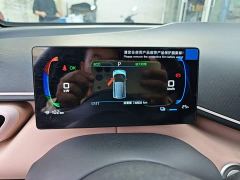 BYD Seagull Glory Edition 405km Flying Edition - ფოტო 11