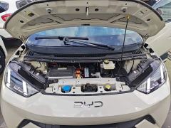 BYD Seagull Glory Edition 405km Flying Edition - ფოტო 19