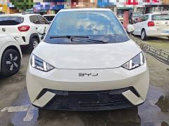 BYD Seagull Glory Edition 405km Flying Edition - ფოტო 2