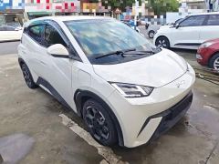 BYD Seagull Glory Edition 405km Flying Edition - ფოტო 3