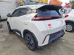 BYD Seagull Glory Edition 405km Flying Edition - ფოტო 4