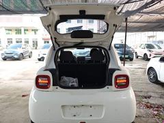 Ora Black Cat 351km Standard Edition Ternary Lithium - фото 18