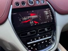 Aston Martin DBX 3.0T Straight-Six - ფოტო 10