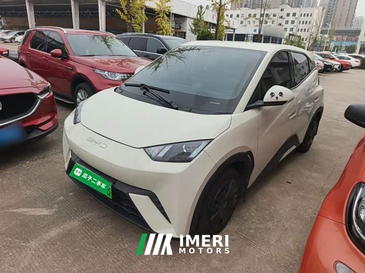 BYD Seagull Glory Edition 305km Vitality Version
