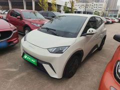 BYD Seagull Glory Edition 305km Vitality Version - ფოტო 1