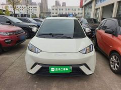 BYD Seagull Glory Edition 305km Vitality Version - ფოტო 2
