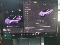 Tesla Model 3 Standard Range Edition 3D1 - фото 20