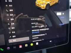 Tesla Model Y Rear-Wheel Drive - ფოტო 11
