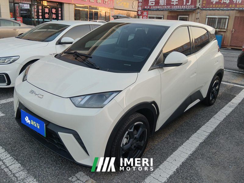 BYD Seagull 305km Free Version - ავტომობილი ჩინეთიდან